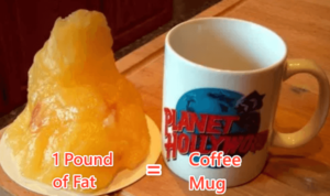 1 Pound of Fat Compares to a Mug. I was carrying an extra 30 of those